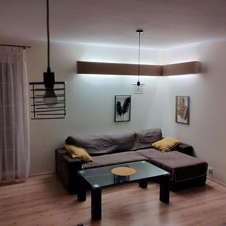Green Apartment Z Bezplatnym Parkingiem Олщин Екстериор снимка
