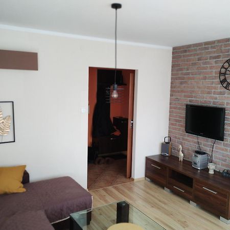 Green Apartment Z Bezplatnym Parkingiem Олщин Екстериор снимка