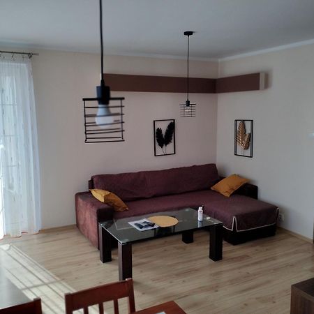 Green Apartment Z Bezplatnym Parkingiem Олщин Екстериор снимка