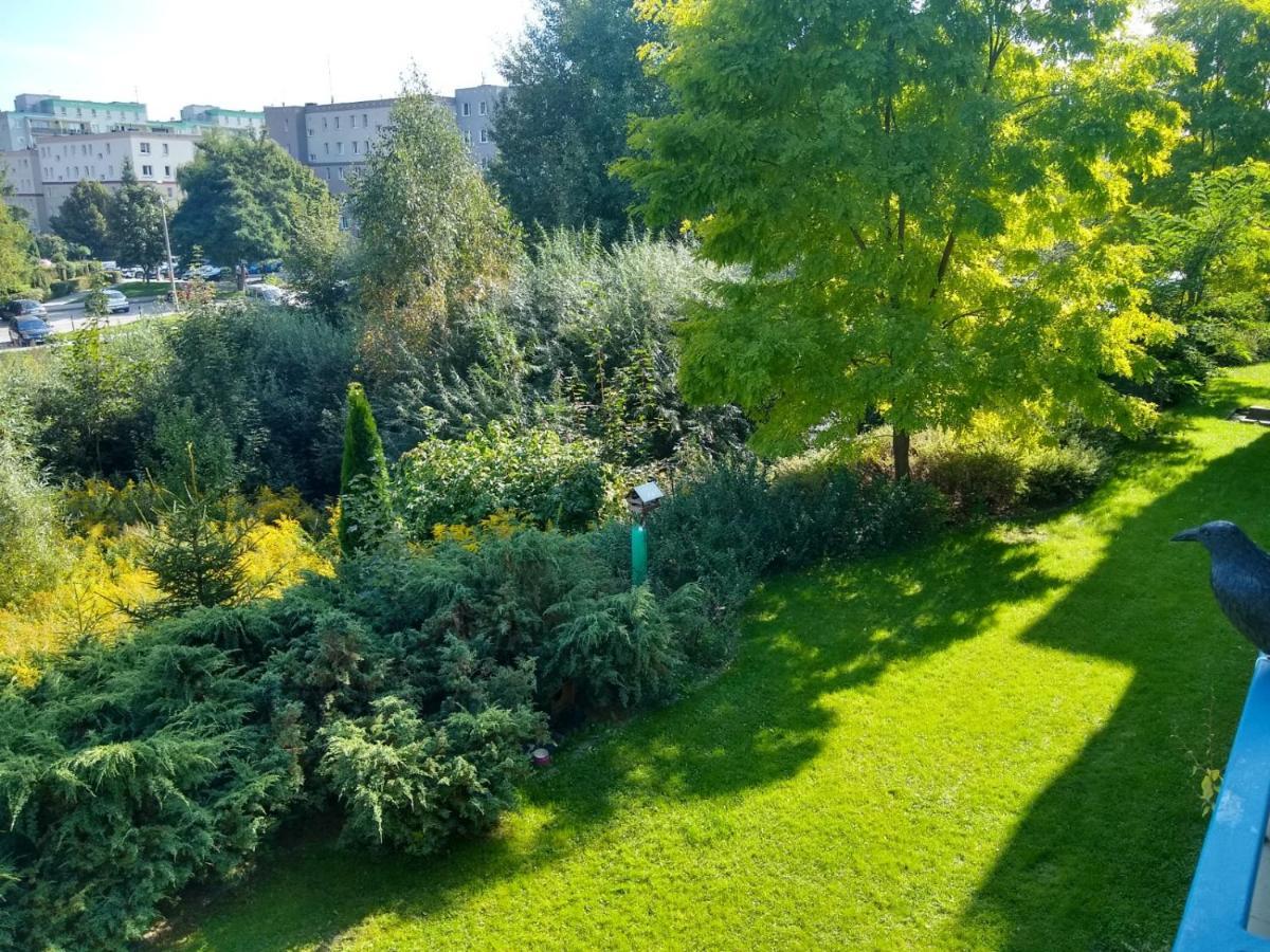Green Apartment Z Bezplatnym Parkingiem Олщин Екстериор снимка