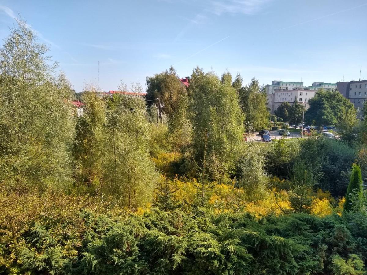 Green Apartment Z Bezplatnym Parkingiem Олщин Екстериор снимка