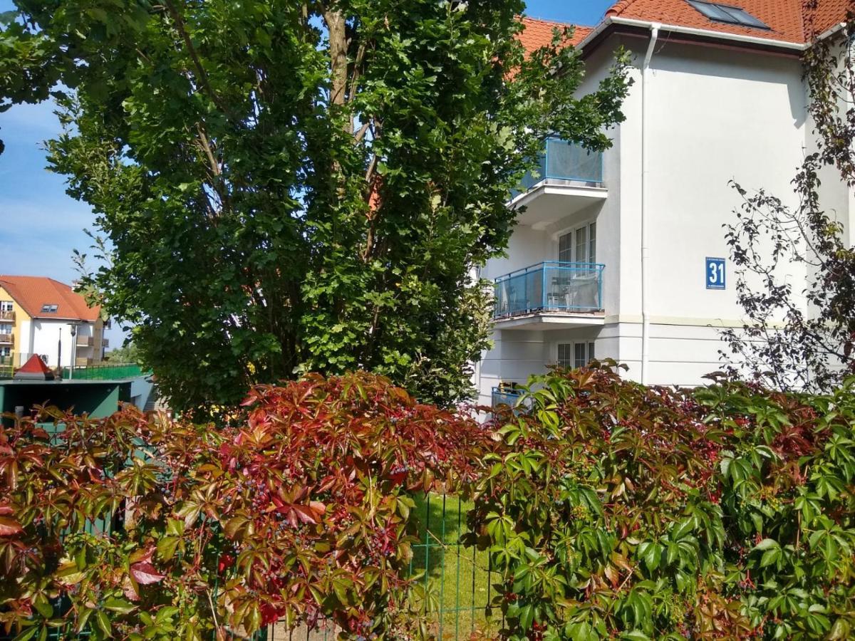 Green Apartment Z Bezplatnym Parkingiem Олщин Екстериор снимка
